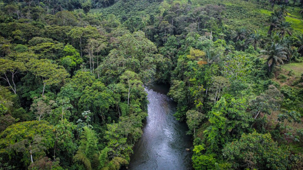 Domos & Naturaleza